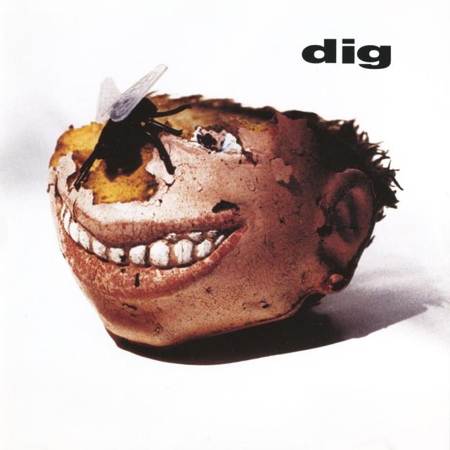 Album cover art for Dig