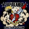 Маша, скрипачка из "Король и Шут"