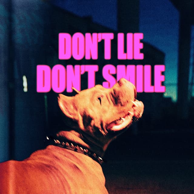 Album cover art for Don't Lie Don't Smile