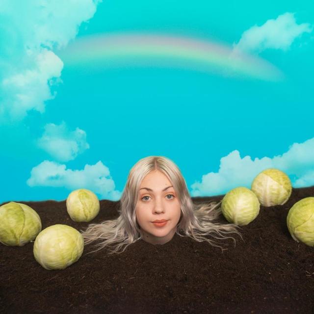 Album cover art for Goober