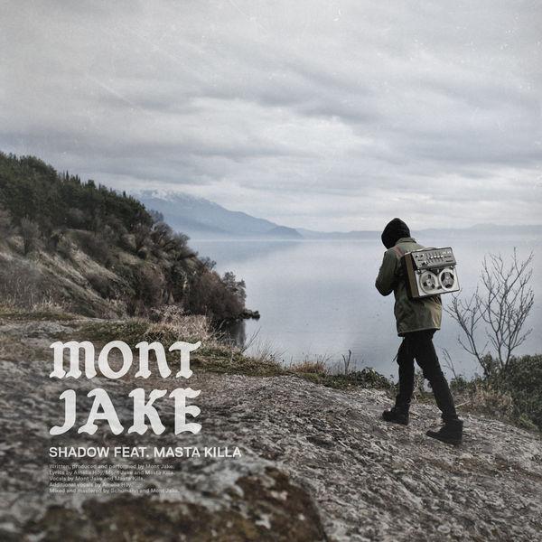 Album cover art for Shadow