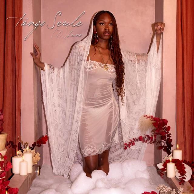 Album cover art for Tango Seule