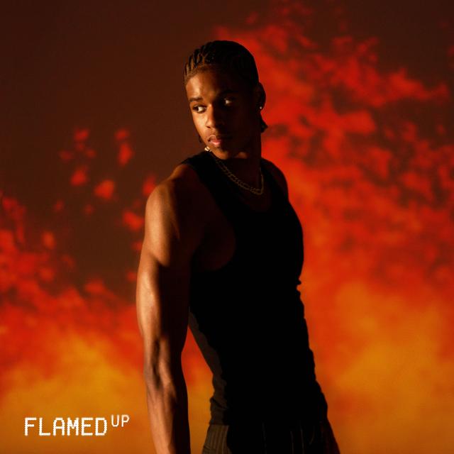 Album cover art for FLAMED UP