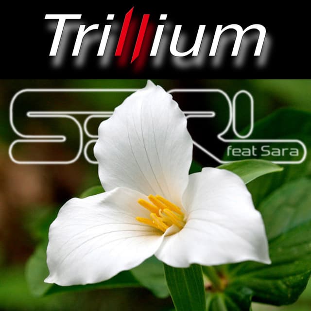 Album cover art for Trillium