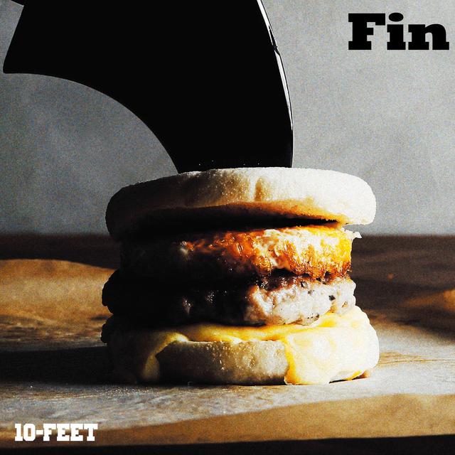 Album cover art for Fin