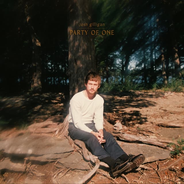 Album cover art for Party of One