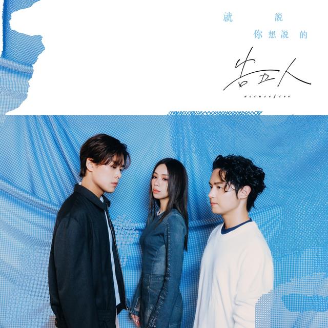 Album cover art for 就說你想說的