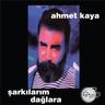 Saza Niye Gelmedin