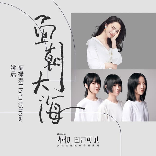 Album cover art for 面朝大海
