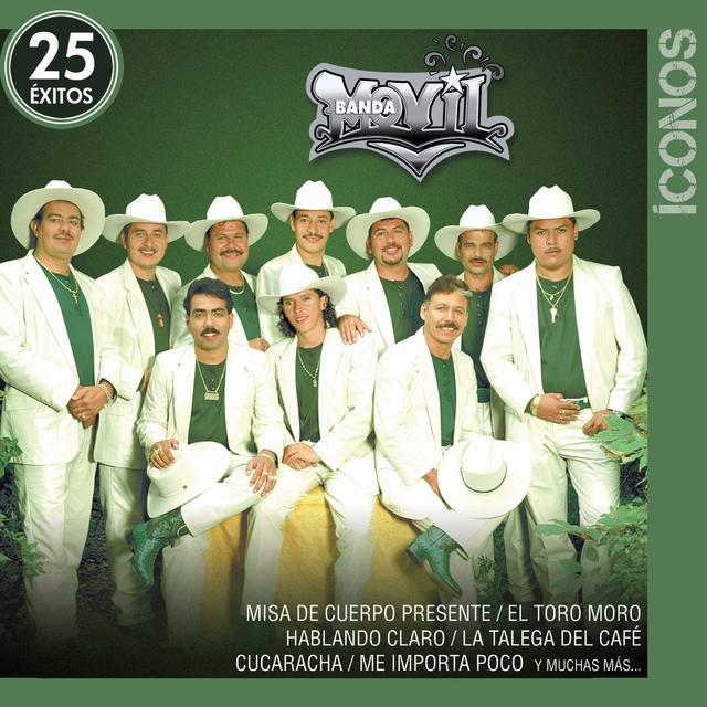 Album cover art for Íconos 25 Éxitos