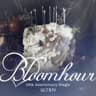 Bloom hour