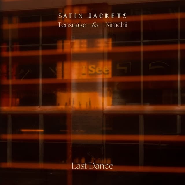 Album cover art for Last Dance