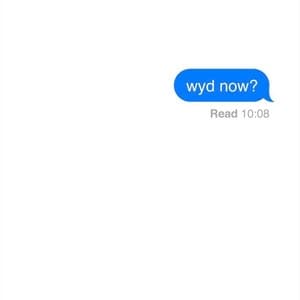 Album cover art for WYD Now?