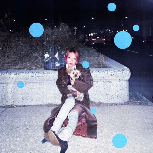 Album cover art for 脆弱的女人