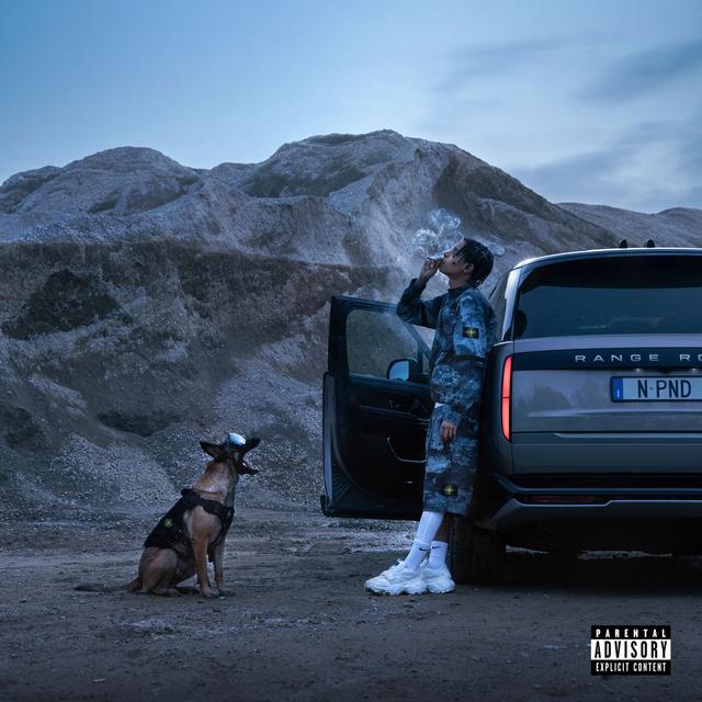 Album cover art for No Pressure, No Diamonds