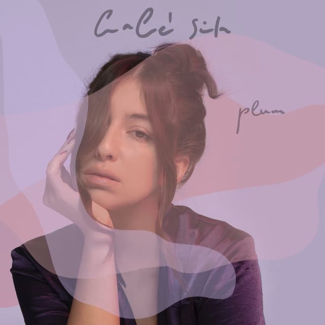 Album cover art for Plum