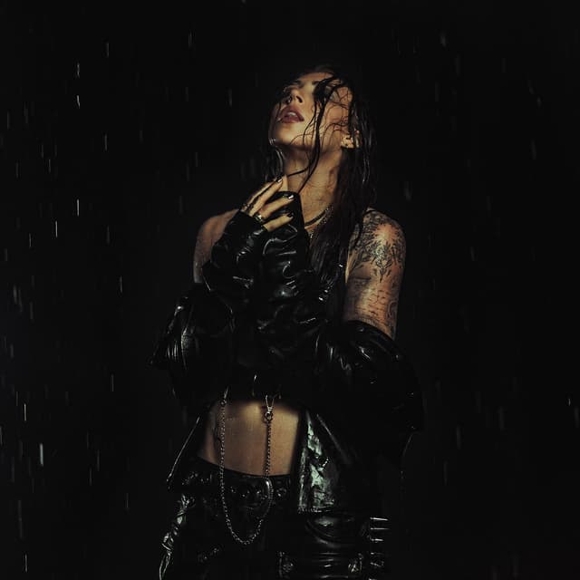 Album cover art for HEARTLESS