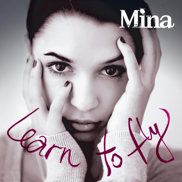 Album cover art for Learn to Fly