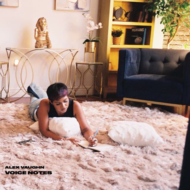 Album cover art for Voice Notes
