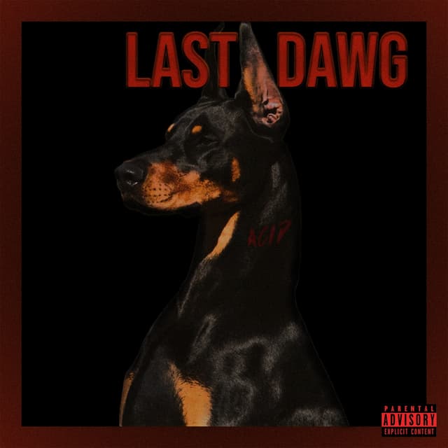 Album cover art for Last Dawg