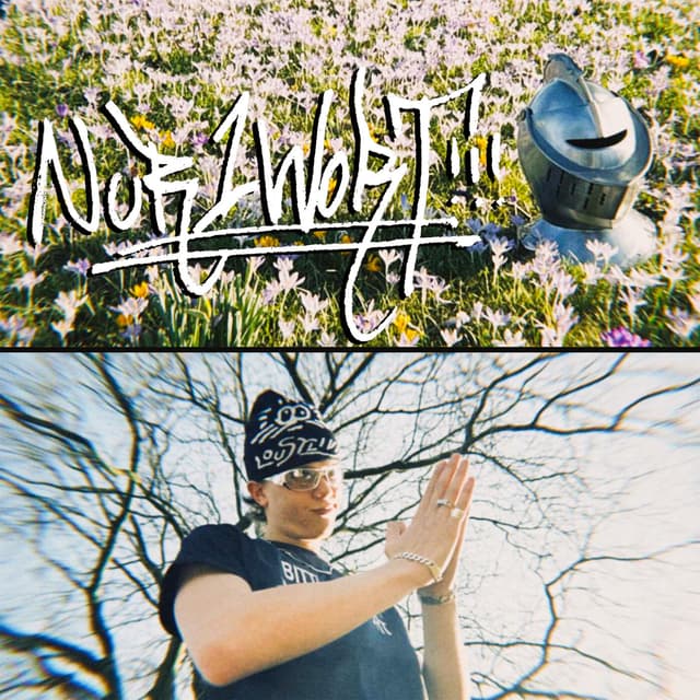 Album cover art for Nur ein Wort