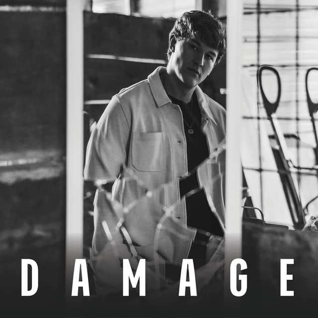 Album cover art for Damage
