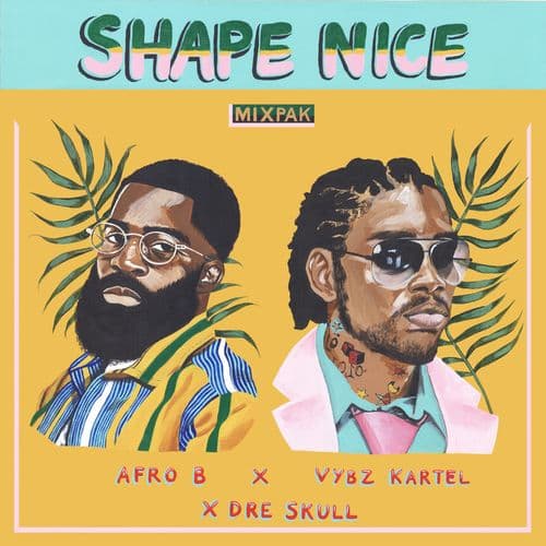 Album cover art for Shape Nice