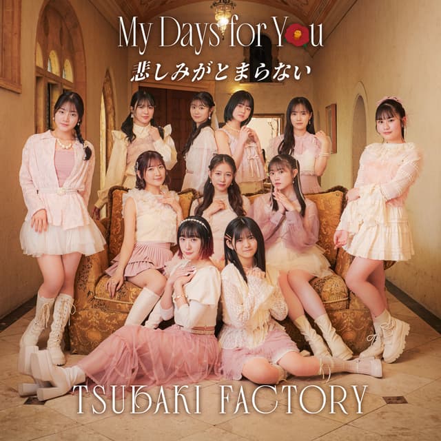Album cover art for My Days for You／悲しみがとまらない(Special Edition)