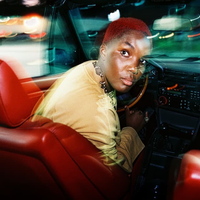 Album cover art for Ambiguous Desire