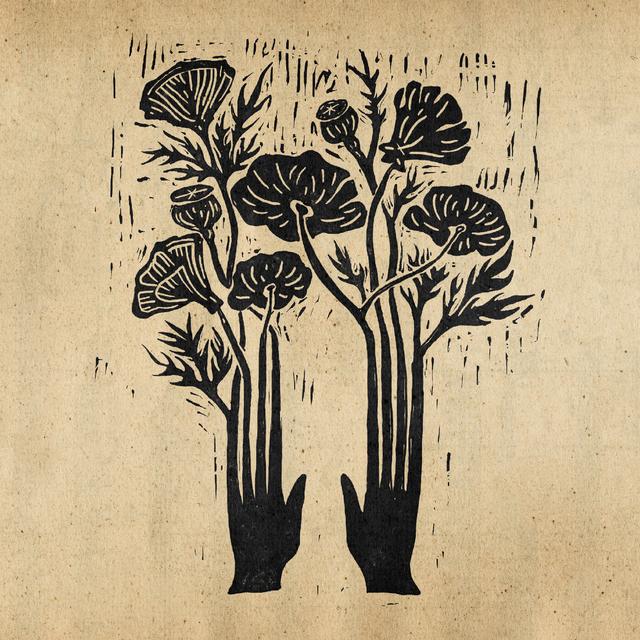 Album cover art for Flowers