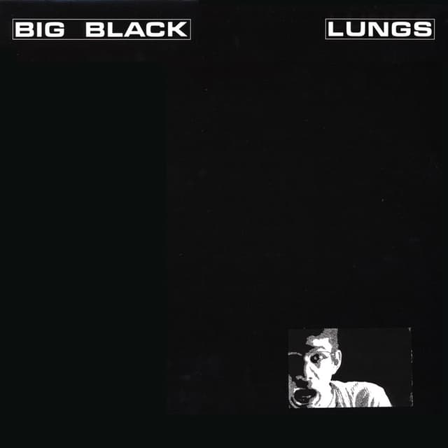 Album cover art for Lungs