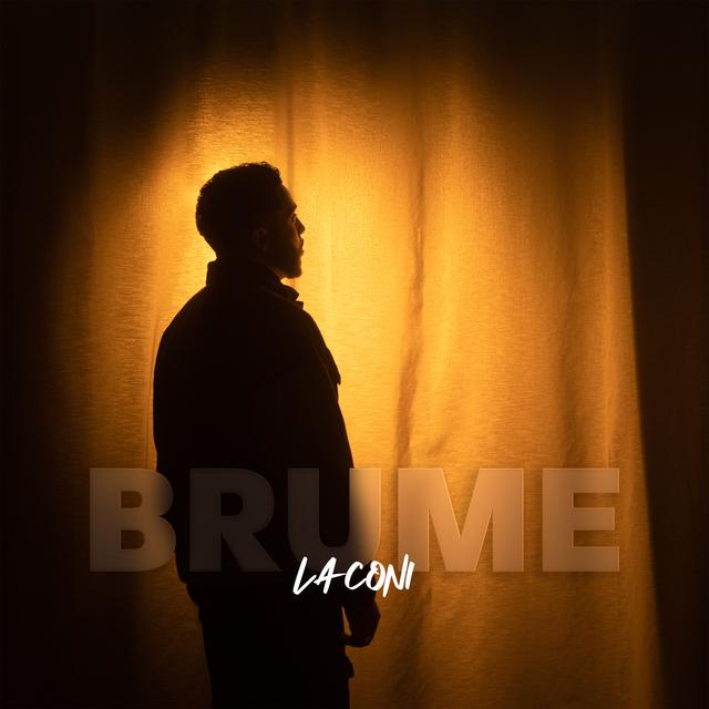 Album cover art for Brume