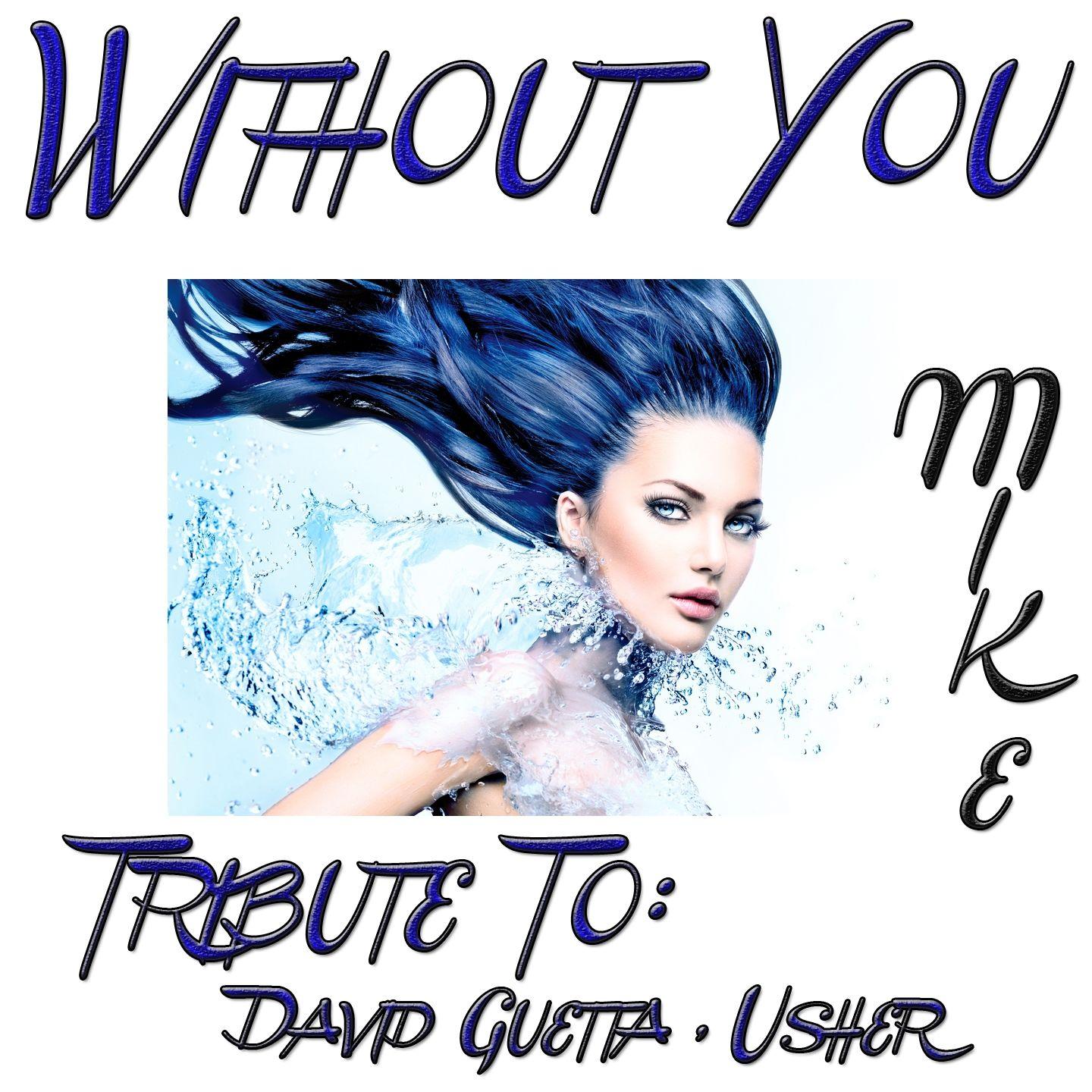 Without You : Tribute to David Guetta, Usher