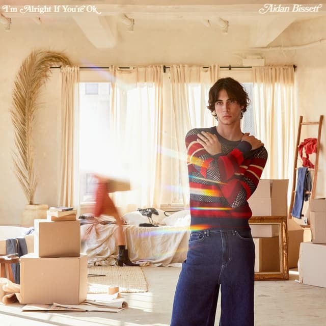 Album cover art for Tripping Over Air