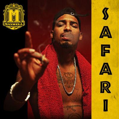 Album cover art for Safari