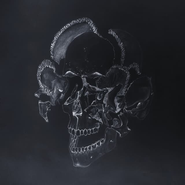 Album cover art for The Goop