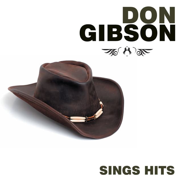 Album cover art for Sings Hits