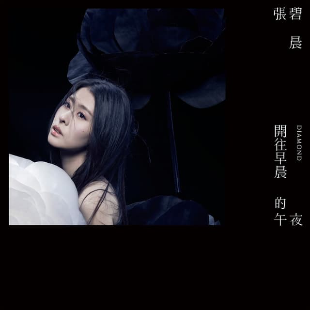 Album cover art for 開往早晨的午夜