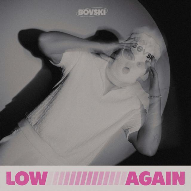 Album cover art for Low Again