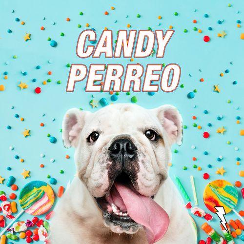 Album cover art for Candy Perreo