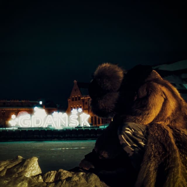 Album cover art for Zimowy Gdańsk