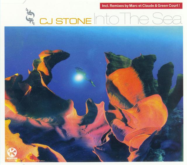 Album cover art for Into The Sea
