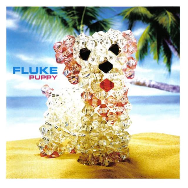 Album cover art for Puppy