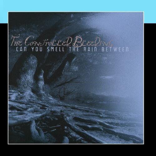 Album cover art for Can You Smell The Rain Between