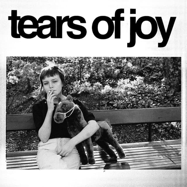 Album cover art for Tears Of Joy