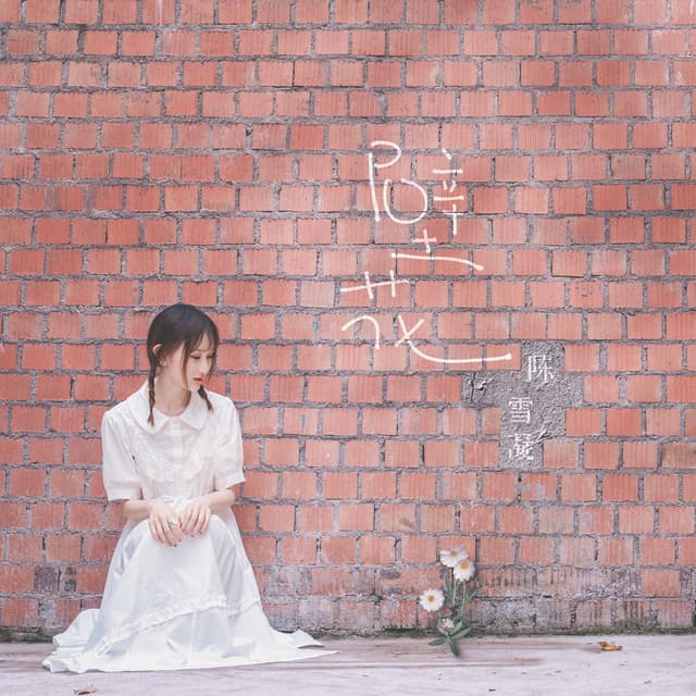 Album cover art for 壁花