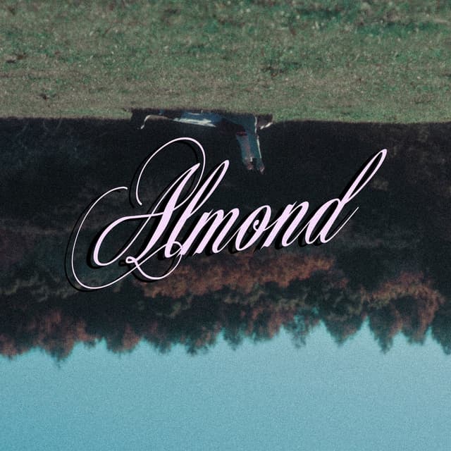 Album cover art for Almond