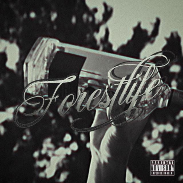 Album cover art for Forest Life