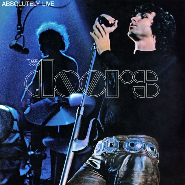 Album cover art for Absolutely Live