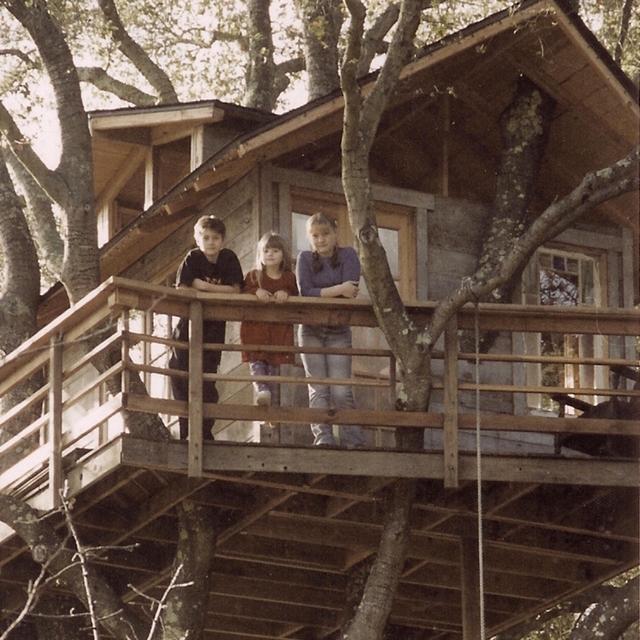 Album cover art for Dreamland